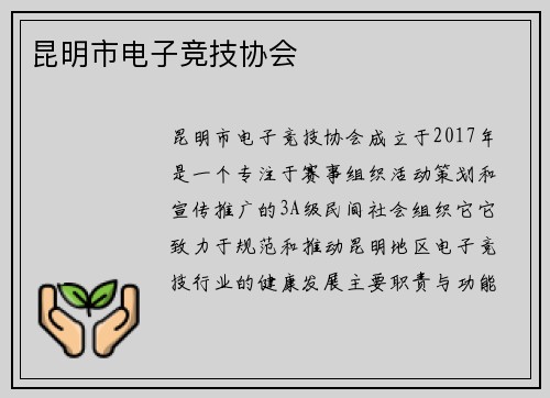 昆明市电子竞技协会